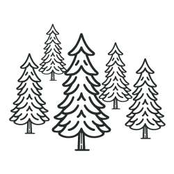 Spruce Tree Coloring Pages