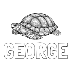 Online Created Coloring Page - GEORGE Coloring Page and Turtle Coloring Page for Adults