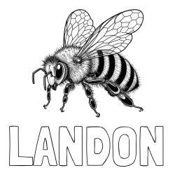 Online Created Coloring Page - LANDON Coloring Page and Coloring Page of a Beautiful and Realistically Designed Bee
