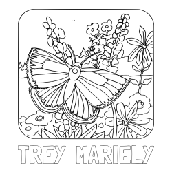 Online Created Coloring Page - TREY  MARIELY Coloring Page and Butterfly on Flower Coloring Page