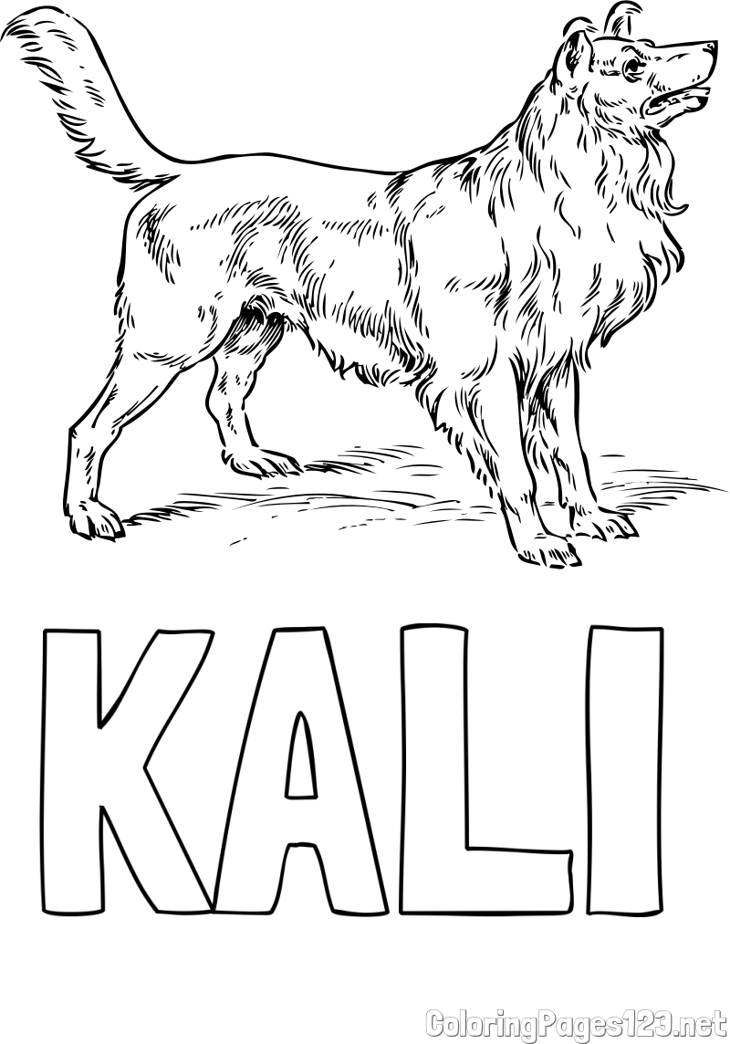 KALI Coloring Page and Coloring Page of an Adorable Dog