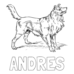 ANDRES Coloring Page and Coloring Page of an Adorable Dog