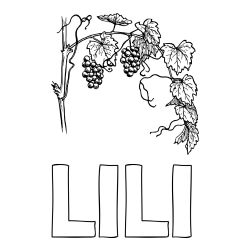 LILI Coloring Page and Realistic Vineyard Coloring Page