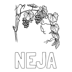 NEJA Coloring Page and Realistic Vineyard Coloring Page