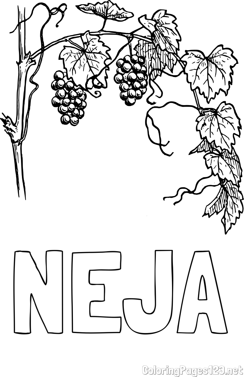 NEJA Coloring Page and Realistic Vineyard Coloring Page