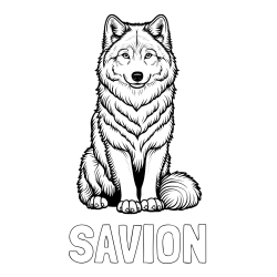 Online Created Coloring Page - SAVION Coloring Page and Beautiful Wolf Coloring Page