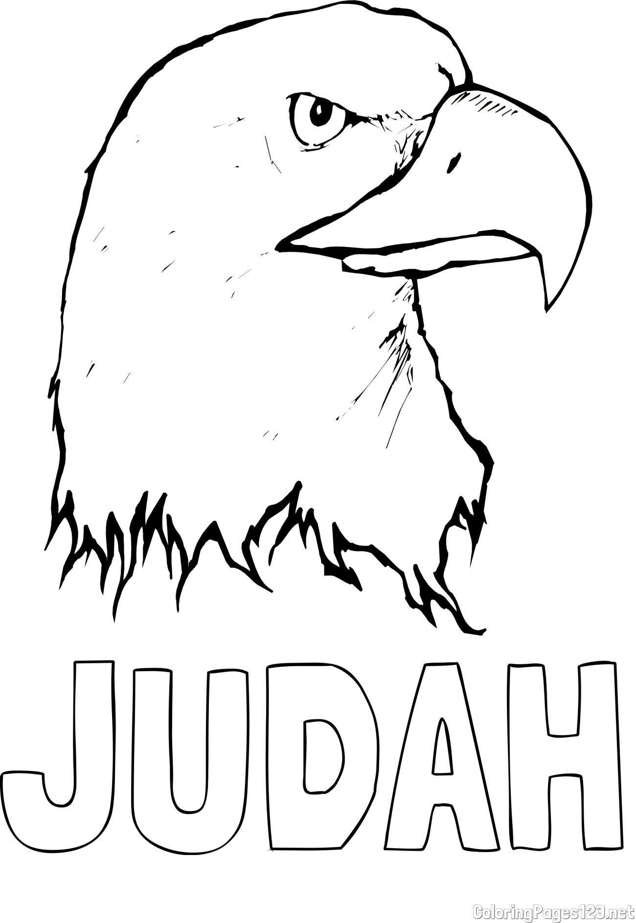 JUDAH Coloring Page and American Bald Eagle Head Coloring Page