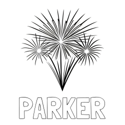 Online Created Coloring Page - PARKER Coloring Page and Beautiful New Year’s Fireworks Coloring Page