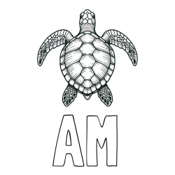 Online Created Coloring Page - AM Coloring Page and Coloring Page of a Sea Turtle from Top