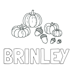 Online Created Coloring Page - BRINLEY Coloring Page and Autumn Harvest Coloring Page - Acorns and Pumpkins