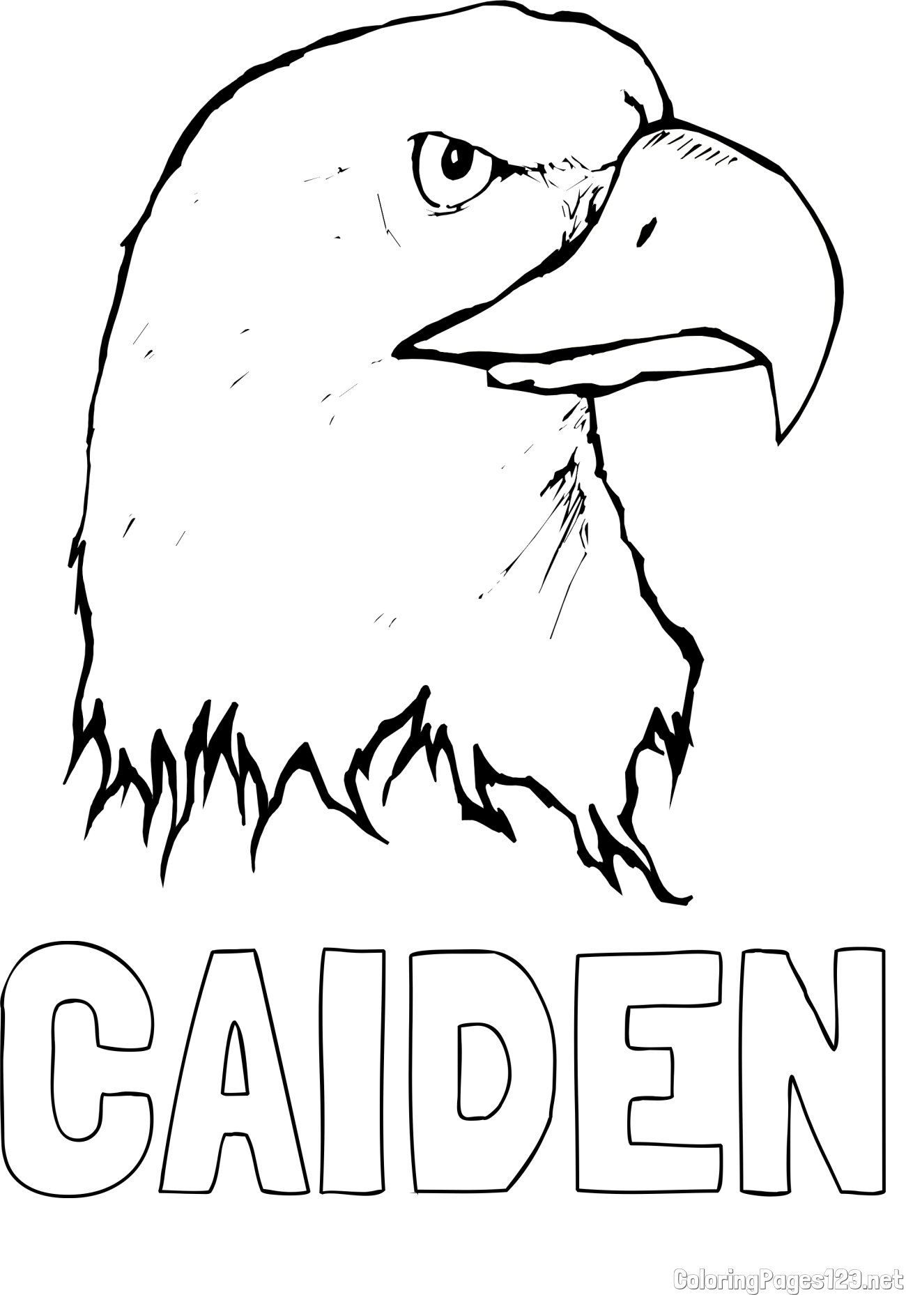 CAIDEN Coloring Page and American Bald Eagle Head Coloring Page