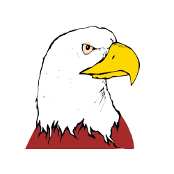 COLORED COLORING - American Bald Eagle Head Coloring Page