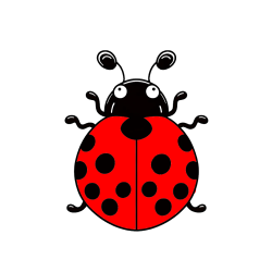 Pobarvana pobarvanka - Easy Ladybug Coloring Page