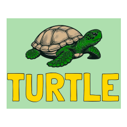 COLORED COLORING - TURTLE Coloring Page and Coloring Page of a Realistic Turtle