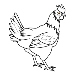 Coloring Page of a Hen