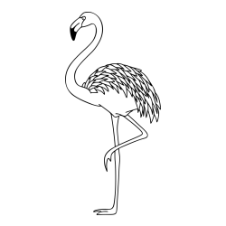Coloring Page of a Flamingo