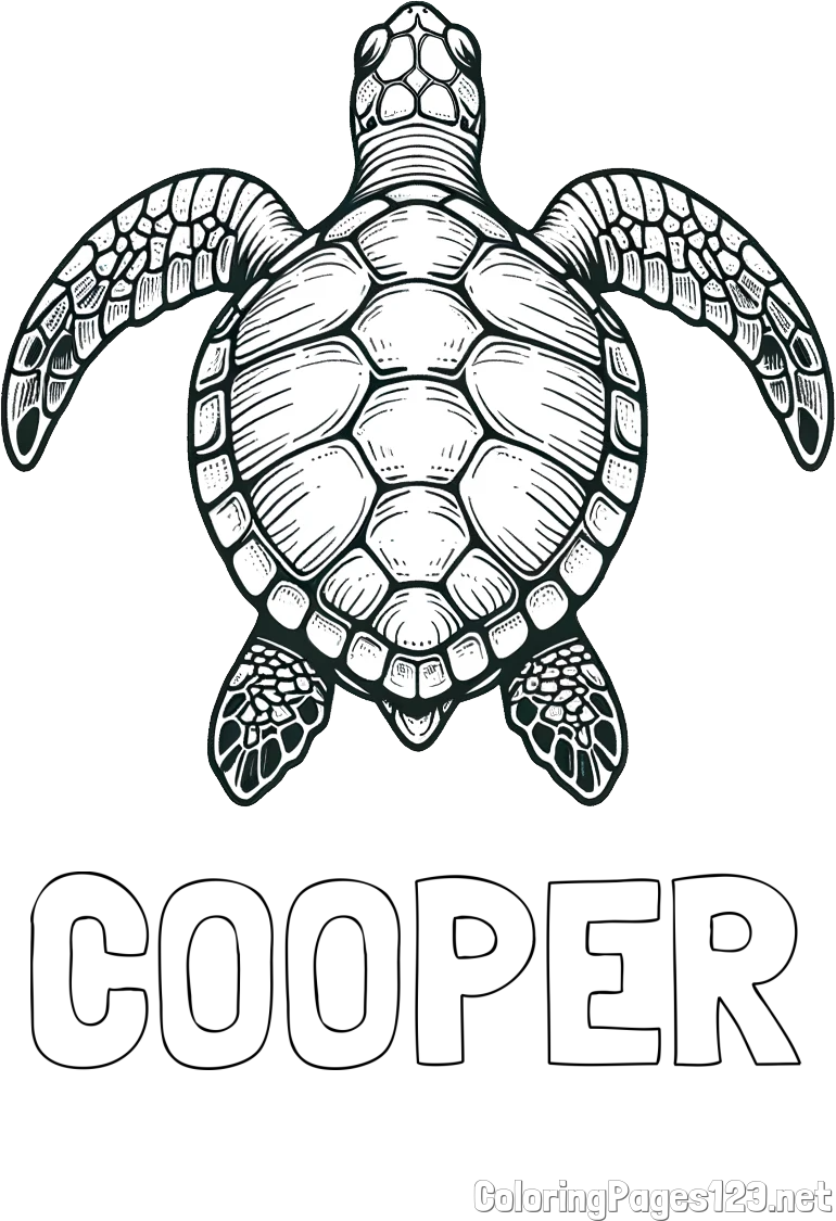 COOPER Coloring Page and Coloring Page of a Sea Turtle from Top