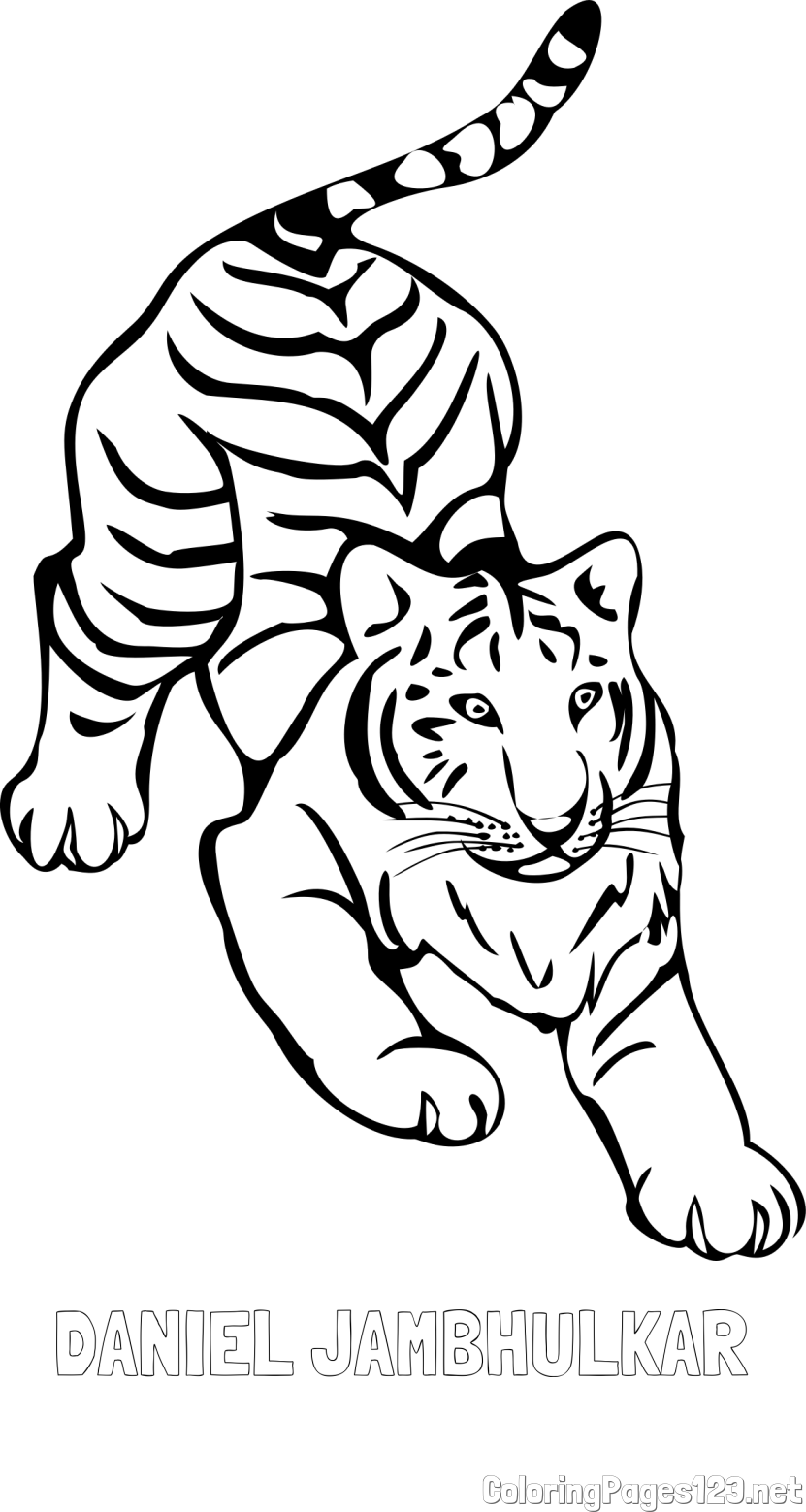 DANIEL JAMBHULKAR Coloring Page and Playful Tiger Coloring Page