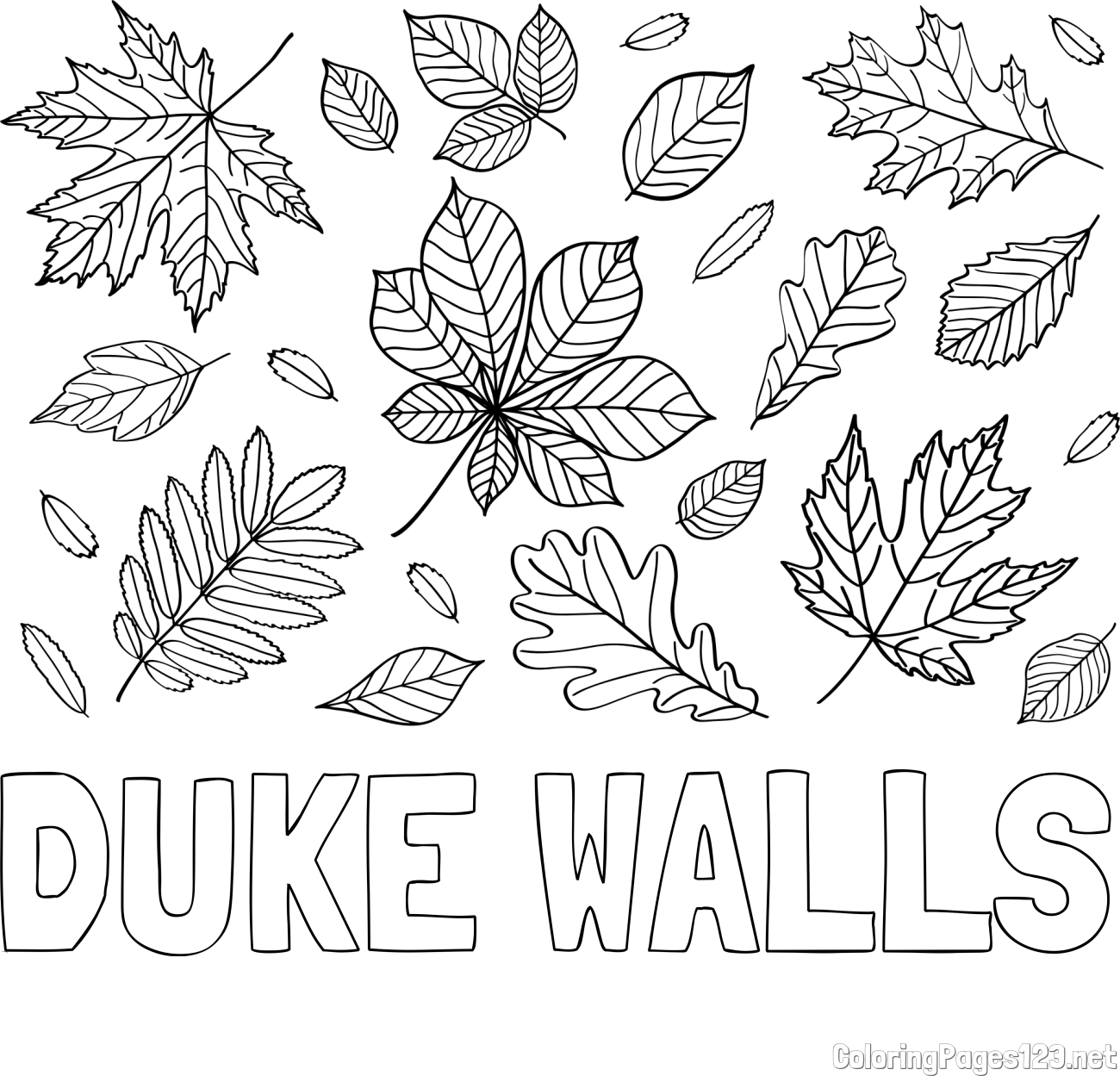 DUKE WALLS Coloring Page and Autumn Leaves Coloring Page