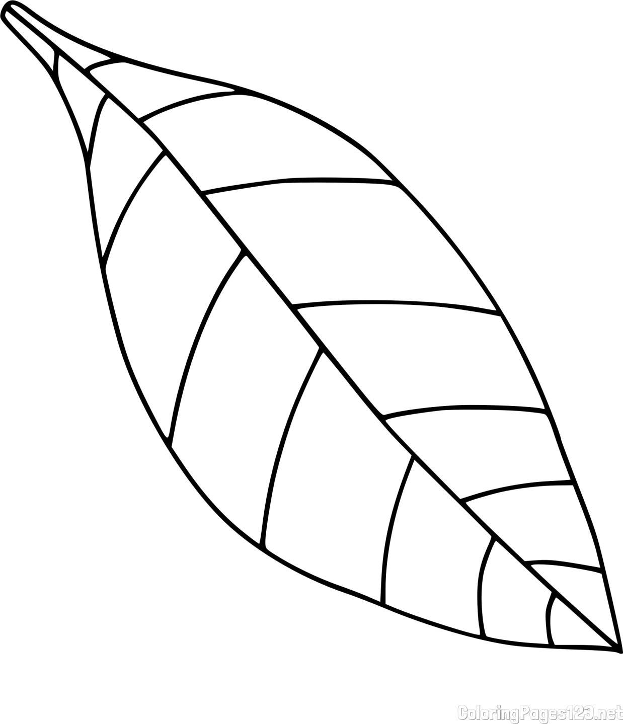Easy Leaf Coloring Page for Kids