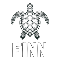 Online Created Coloring Page - FINN Coloring Page and Coloring Page of a Sea Turtle from Top