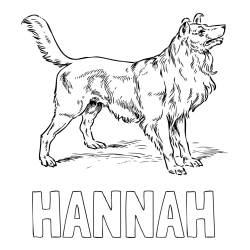 Online Created Coloring Page - HANNAH Coloring Page and Coloring Page of an Adorable Dog