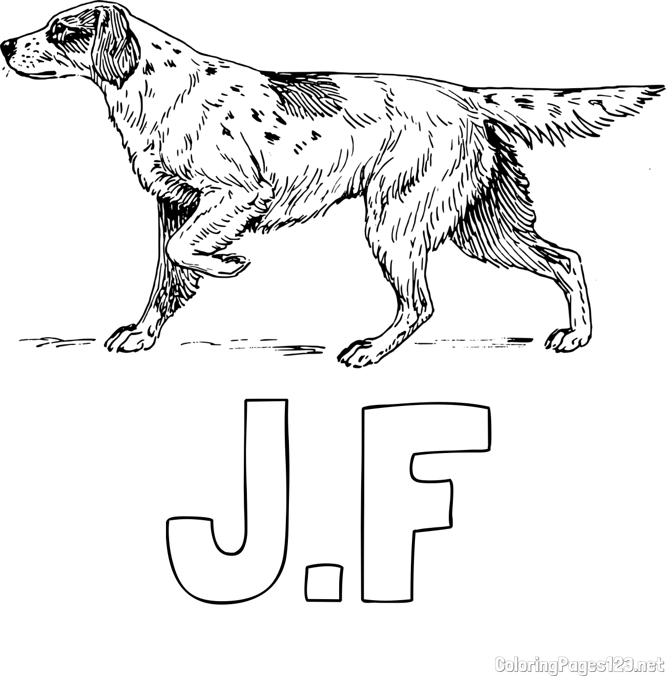 J.F Coloring Page and Coloring Page of a Hunting Dog