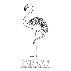 Online Created Coloring Page - KANAAN Coloring Page and Coloring Page of a Flamingo