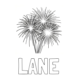 Online Created Coloring Page - LANE Coloring Page and Beautiful Fireworks Coloring Page