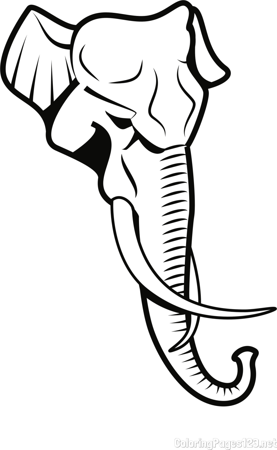Large Elephant Head Coloring Page