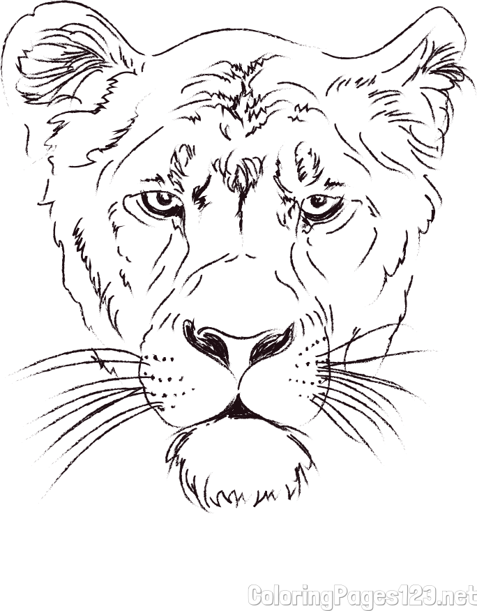 Lioness Head Coloring Page