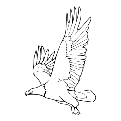Majestic Eagle in Flight Coloring Page