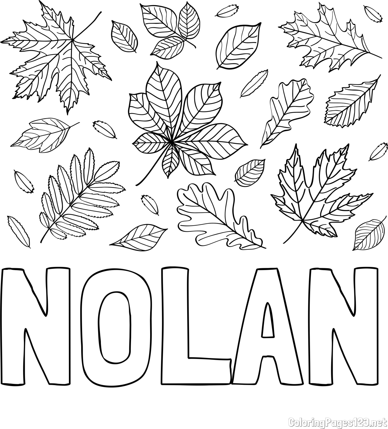 NOLAN Coloring Page and Autumn Leaves Coloring Page