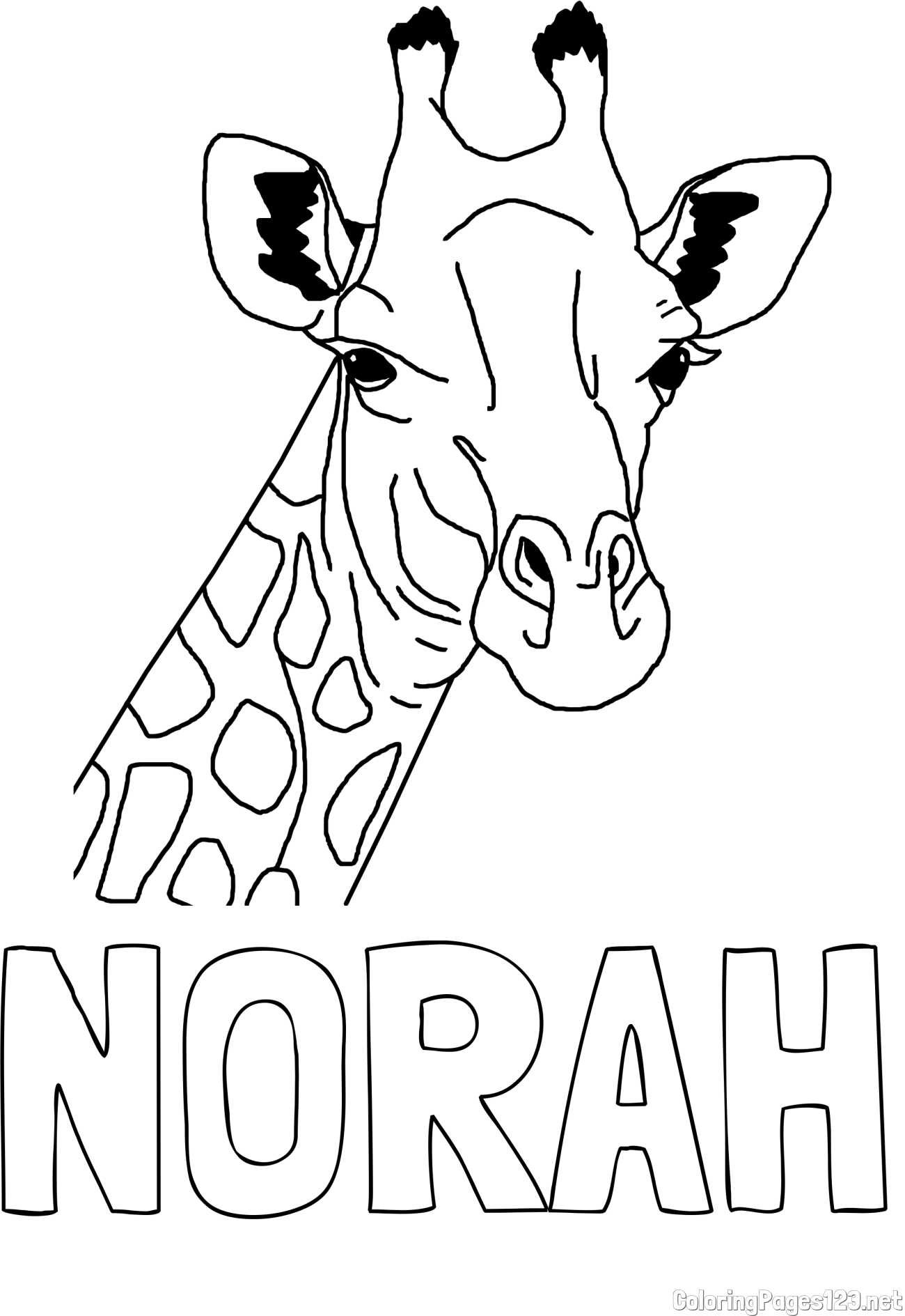 NORAH Coloring Page and Beautiful Coloring Page of a Giraffe's Head