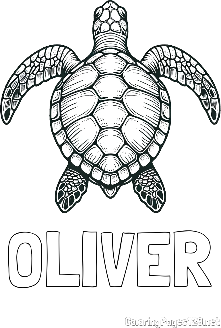 OLIVER Coloring Page and Coloring Page of a Sea Turtle from Top