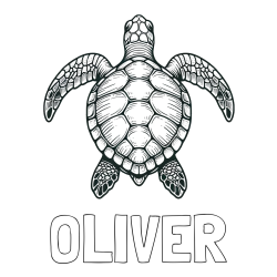 Online Created Coloring Page - OLIVER Coloring Page and Coloring Page of a Sea Turtle from Top