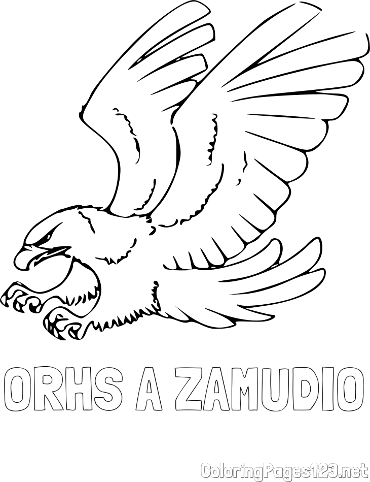 ORHS A ZAMUDIO Coloring Page and Eagle in Attack Pose Coloring Page