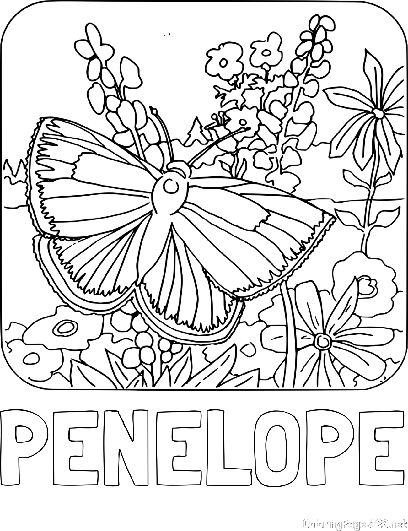 PENELOPE Coloring Page and Butterfly on Flower Coloring Page