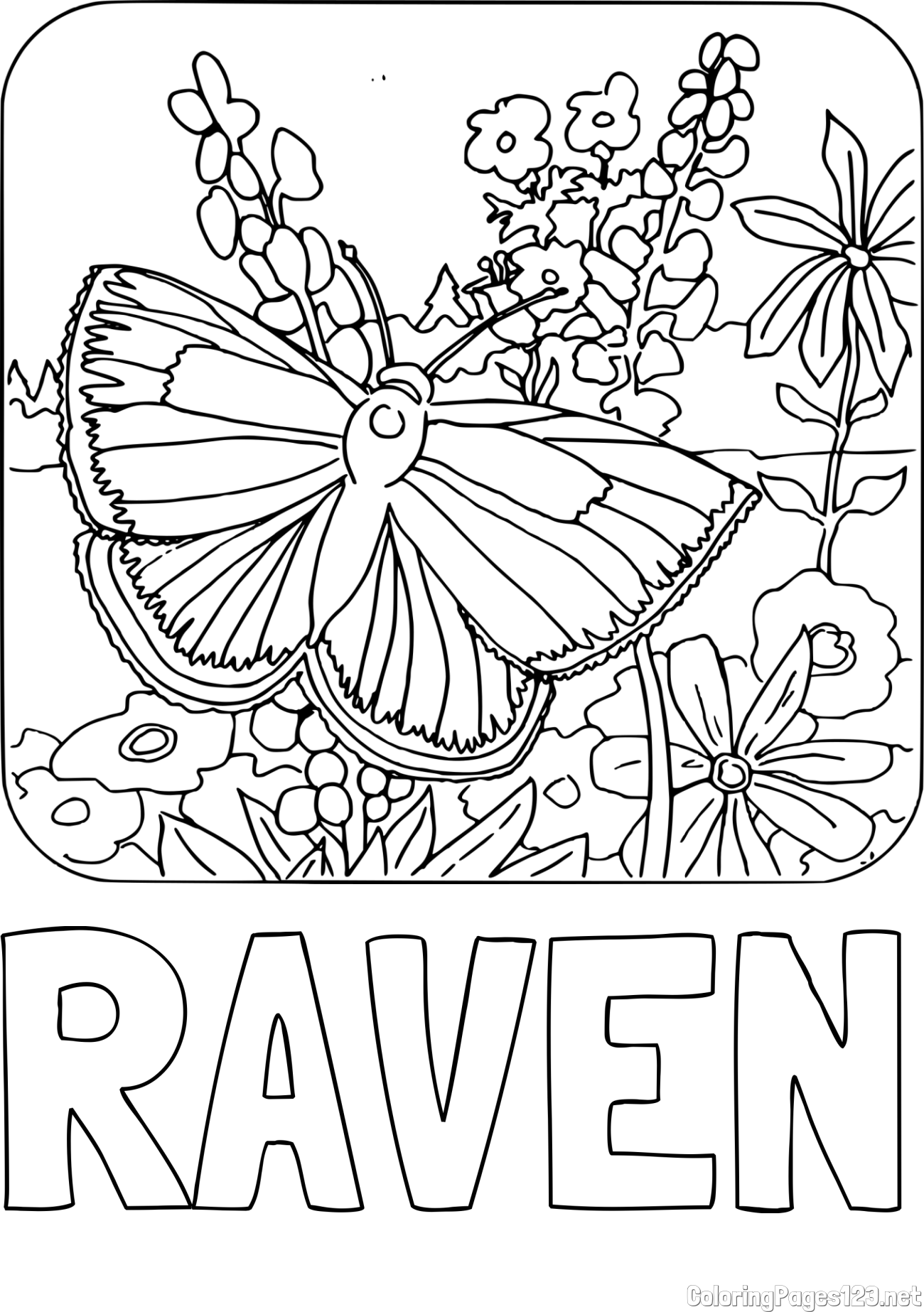 RAVEN Coloring Page and Butterfly on Flower Coloring Page