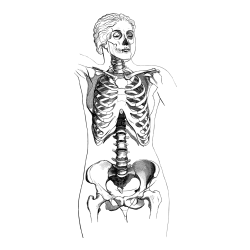 Realistic Female Skeleton Coloring Page