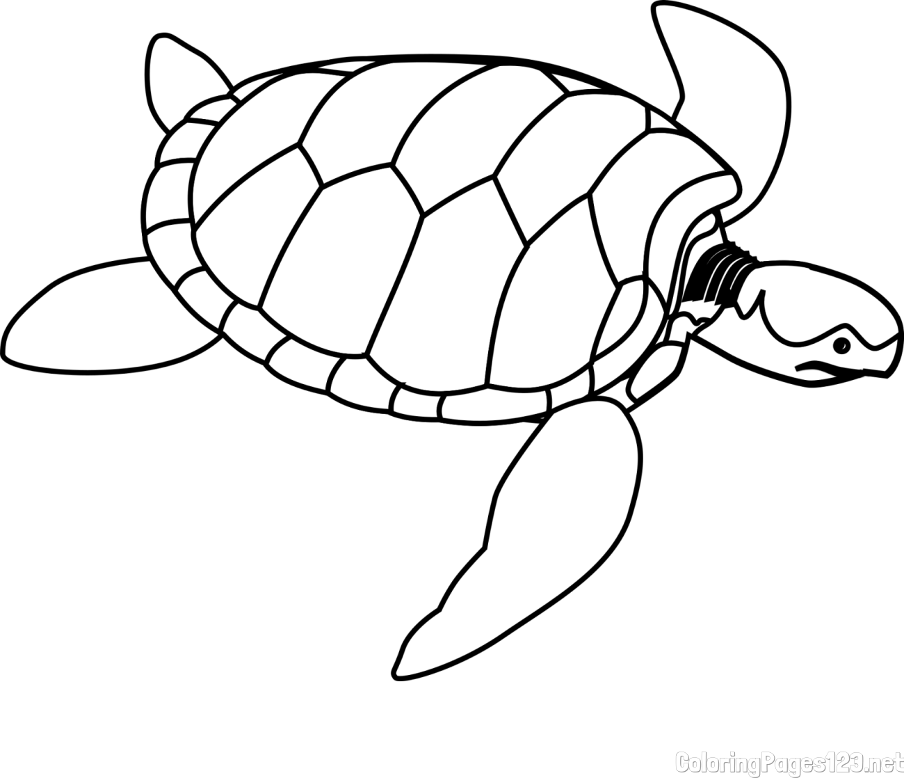 Realistic Sea Turtle Coloring Page