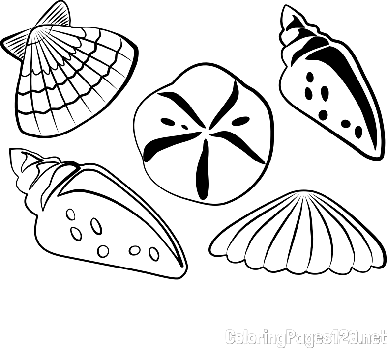 Seashells Coloring Page