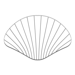 Simple Seashell Coloring Page