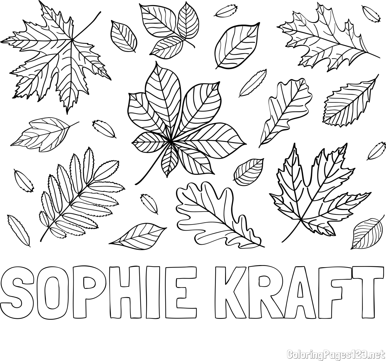 SOPHIE KRAFT Coloring Page and Autumn Leaves Coloring Page