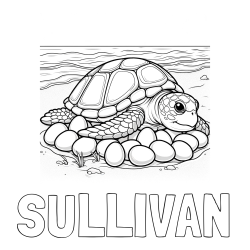 Online Created Coloring Page - SULLIVAN Coloring Page and Coloring Page of a Realistic Sea Turtle Laying Eggs