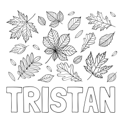 Online Created Coloring Page - TRISTAN Coloring Page and Autumn Leaves Coloring Page