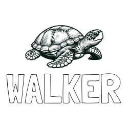 Online Created Coloring Page - WALKER Coloring Page and Coloring Page of a Realistic Turtle