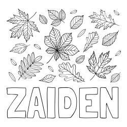 Online Created Coloring Page - ZAIDEN Coloring Page and Autumn Leaves Coloring Page
