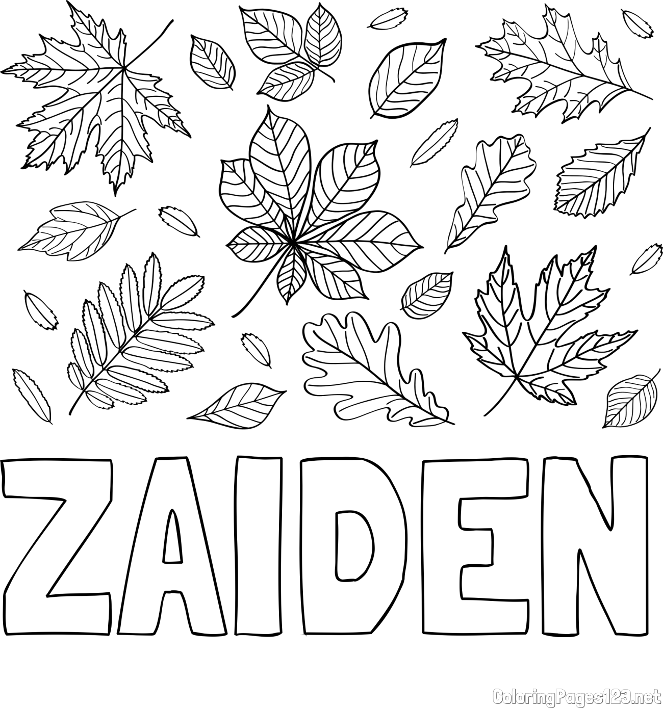 ZAIDEN Coloring Page and Autumn Leaves Coloring Page